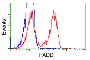 HEK293T cells transfected with either FADD (Myc-DDK-tagged) overexpress plasmid (Red) or empty vector control plasmid (Blue) were immunostained by anti-FADD antibody (M00237-2)