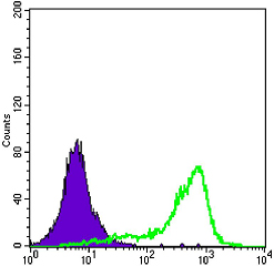Flow cytometric analysis of A431 cells using SOD-1 Monoclonal Antibody (green) and negative control (purple)
