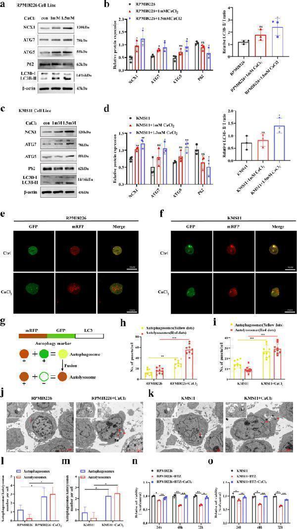 m00240 12964_2024_1628_fig3_html