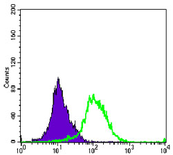 Flow cytometric analysis of K562 cells using ARK-1 Monoclonal Antibody (green) and negative control (purple)