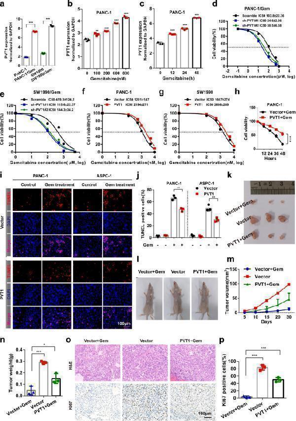 m00254 12943_2020_1237_fig1_html
