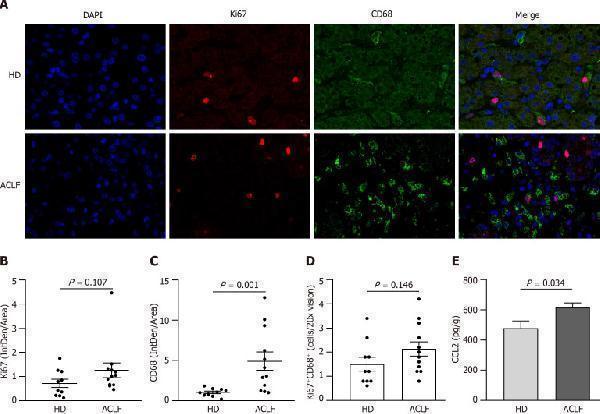 m00254 8 wjg 30 881 g005