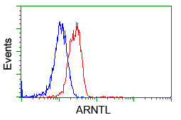 m00260 2 anti bmal1 arntl mouse monoclonal antibody clone id oti3g9 flow cytometry testing 5