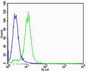 Flow cytometric analysis of K562 cells using VWF(green, Cat#M00270-2) compared to an isotype control of mouse IgG1 (blue)