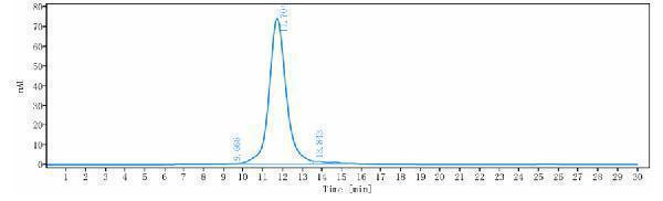 The purity of Anti-EpCAM/TROP1/CD326 Reference Antibody (adecatumumab)is more than 97