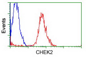 m00277 1 anti chk2 chek2 mouse monoclonal antibody clone id oti5c4 flow cytometry testing 10