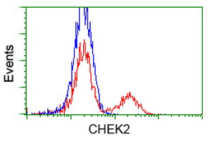 m00277 2 anti chk2 chek2 mouse monoclonal antibody clone id oti2f4 flow cytometry testing 6