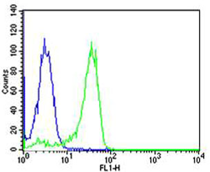 m00283 2 anti nfkb1 antibody fc testing 4