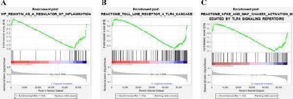 m00284 12957_2021_2477_fig5_html
