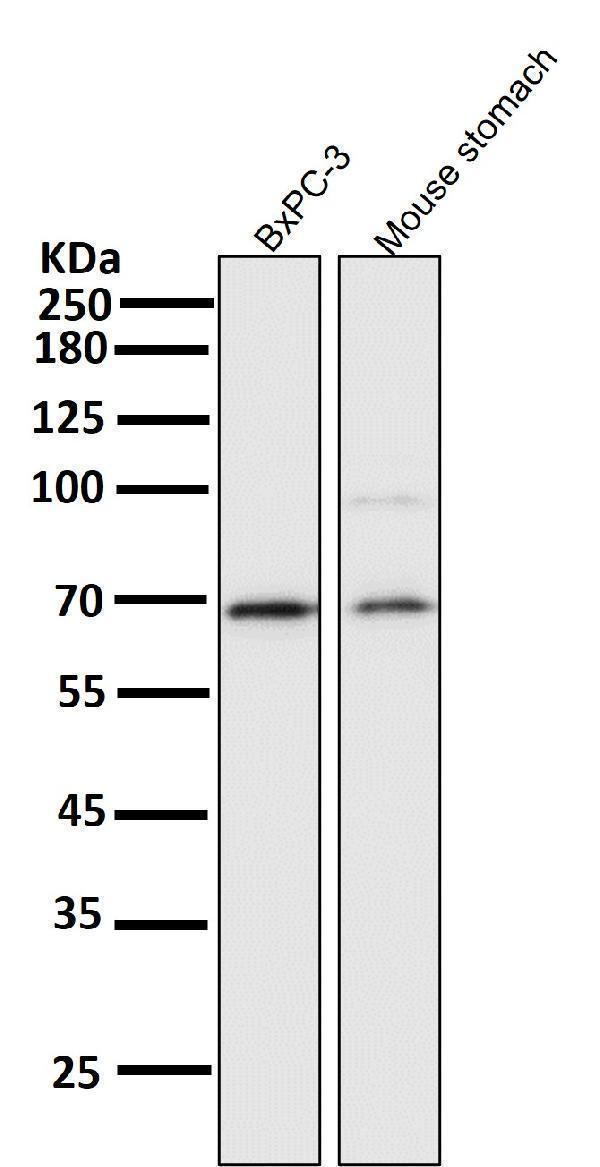 m00284 wb7