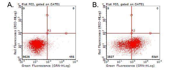 Flow cytometric analysis of living PBMCs treated with 10ug/ml PHA for 72h (Right)/untreated (Left) using anti-ICOS antibody (M00291) (1:100)
