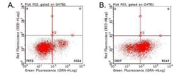 Flow cytometric analysis of living PBMCs treated with 10ug/ml PHA for 72h using anti-ICOS antibody (M00291) (Right)
