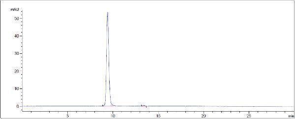 The purity of Anti-c-RET Reference Antibody (Regeneron patent anti-RET)is more than 95%