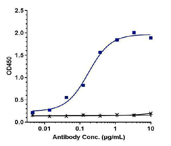 Immobilized human CXCR3 VLP Protein at 8 &mug/mL can bind Anti-CXCR3/GPR9/CD183 Reference Antibody (Genzyme patent anti-CXCR3)