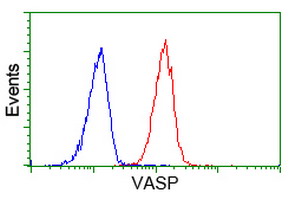 m00303 1 anti vasp mouse monoclonal antibody clone id oti4d6 flow cytometry testing 11