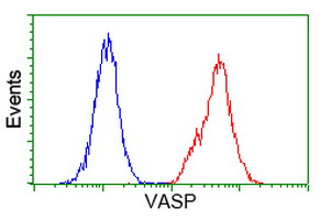 m00303 1 anti vasp mouse monoclonal antibody clone id oti4d6 flow cytometry testing 12