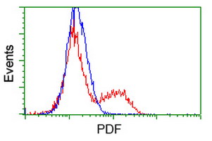 m00304 anti pdf mouse monoclonal antibody clone id oti3f3 flow cytometry testing 3