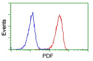 m00304 anti pdf mouse monoclonal antibody clone id oti3f3 flow cytometry testing 5