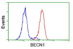 m00327 1 anti beclin 1 becn1 mouse monoclonal antibody clone id oti1f1 flow cytometry testing 6