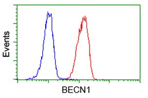 m00327 1 anti beclin 1 becn1 mouse monoclonal antibody clone id oti1f1 flow cytometry testing 7