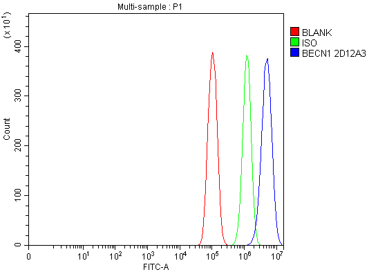 m00327 2 becn1 primary antibodies fcm testing 7