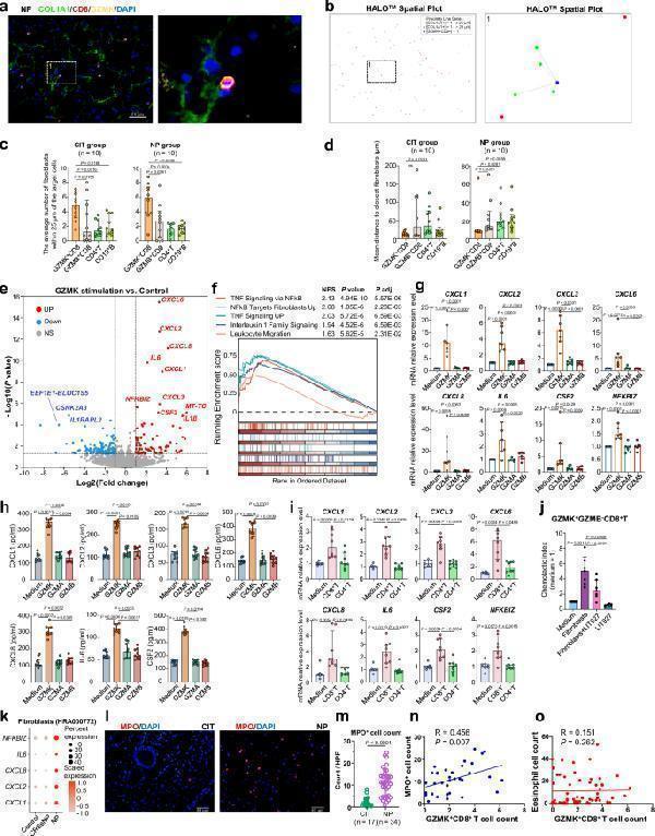 m00344 41467_2024_54685_fig6_html