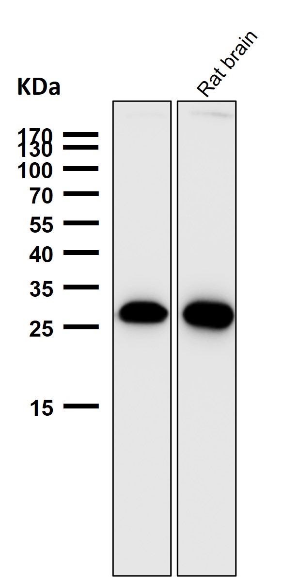 m00348 wb9