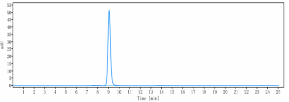 The purity of Anti-CEACAM5/CEA/CD66e Reference Antibody (tusamitamab-MMAE)is more than 95%