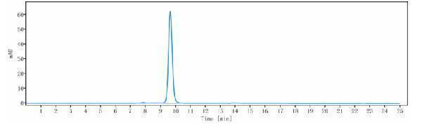 The purity of Anti-CEACAM5/CEA/CD66e Reference Antibody (labetuzumab govitecan)is more than 98