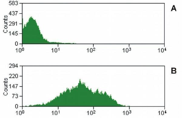 Flow cytometry (surface staining) of lysed and washed porcine peripheral blood with purified anti-CD47 (MEM-122) (detection by anti-mouse IgM FITC)