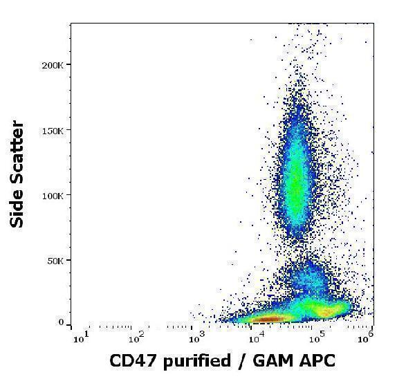 Flow cytometry surface staining pattern of human peripheral blood stained using anti-human CD47 (MEM-122) purified antibody (concentration in sample 4 µg/ml, GAM APC)