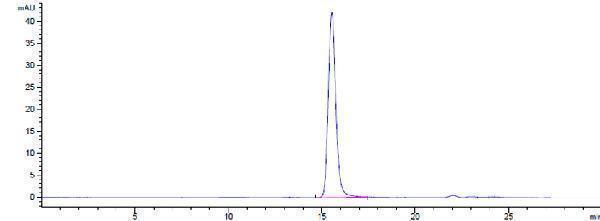 The purity of Anti-CD47 Reference Antibody (lemzoparlimab)is more than 100%