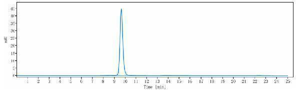 The purity of Anti-CD47 Reference Antibody (ligufalimab)is more than 95%