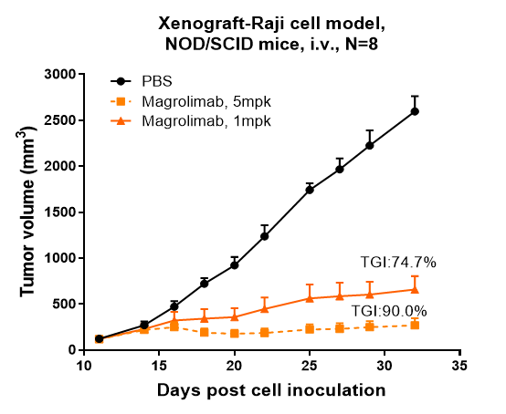 Magrolimab inhibited the tumor growth of Raji on NOD