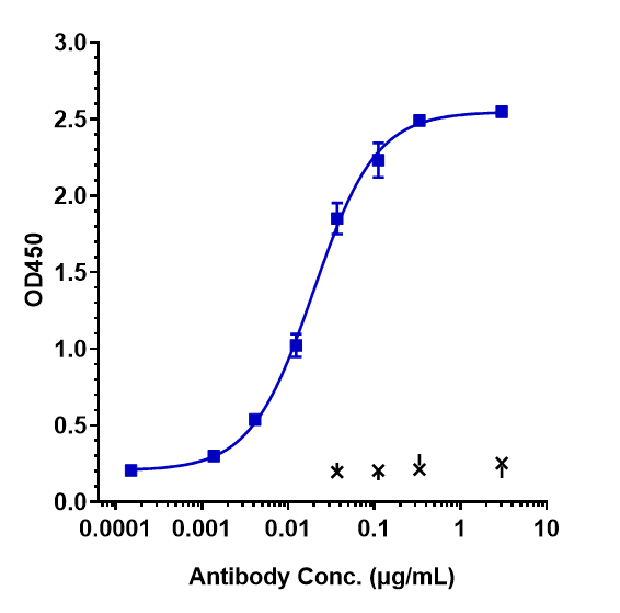 Immobilized human ANGPT2 His at 2 &mug/mL can bind Anti-ANGPT2 Reference Antibody (nesvacumab)