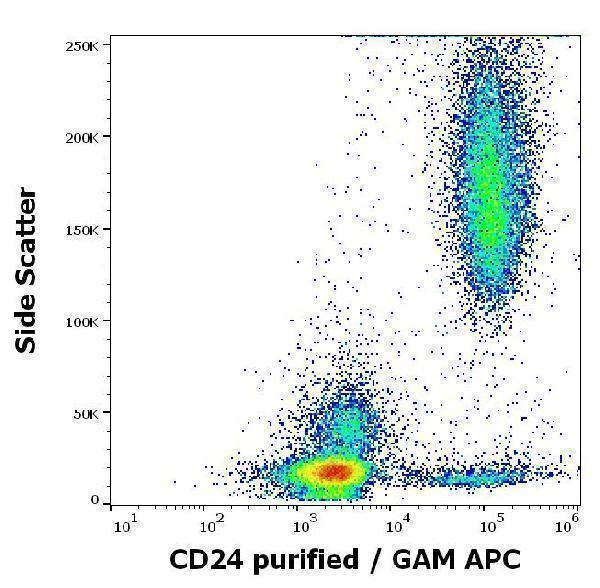 m00373 hu cd24 primary antibodies fc testing 2