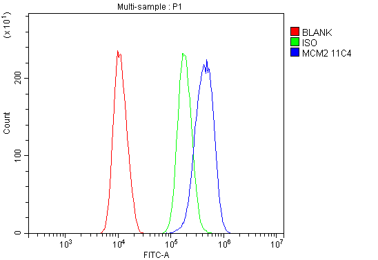 m00374 1 mcm2 primary antibodies fcm testing 6