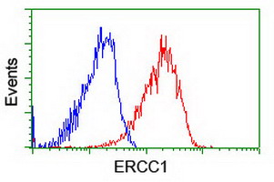 m00388 2 anti ercc1 mouse monoclonal antibody clone id oti1c10 flow cytometry testing 4