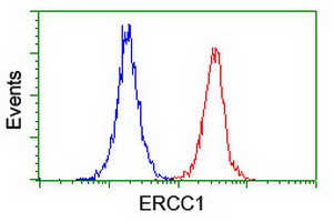m00388 2 anti ercc1 mouse monoclonal antibody clone id oti1c10 flow cytometry testing 5