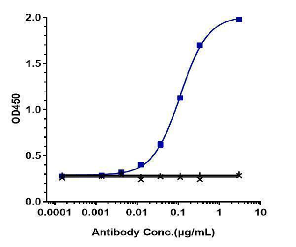 Immobilized Cyno DR5 His at 2 &mug/mL can bind Anti-TNFRSF10B/TRAILR2/CD262 Reference Antibody (conatumumab)