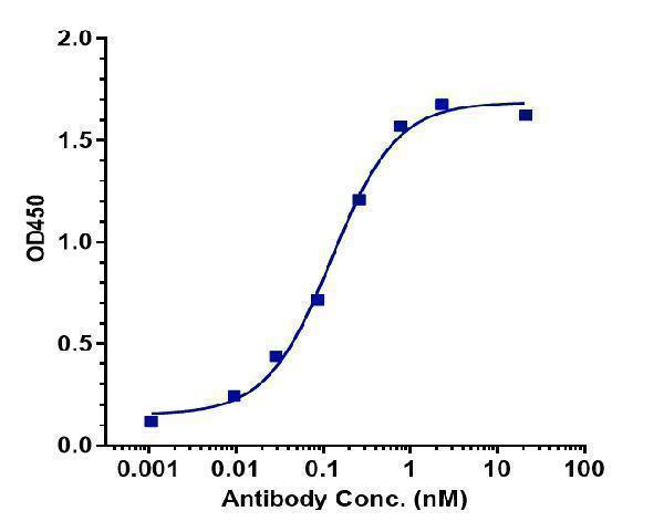Immobilized Cynomolgus TRAIL R2/DR5/ TNFRSF10B Protein