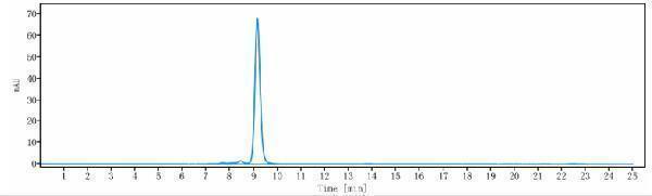 The purity of Anti-TNFRSF10B/TRAILR2/CD262 Reference Antibody (tigatuzumab)is more than 95%
