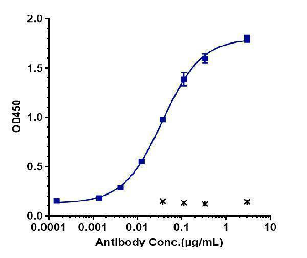 Immobilized human TNFRSF10B/TRAILR2/CD262