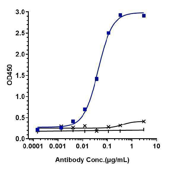 Immobilized human IL 17A FC at 2 &mug/mL can bind Anti-CTLA-8/IL-17a Reference Antibody (secukinumab)