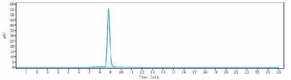 The purity of Anti-CTLA-8/IL-17a Reference Antibody (CAT-2200)is more than 95%