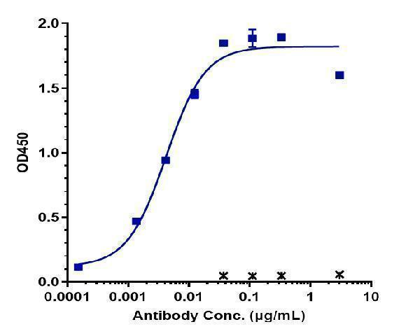 Immobilized human FAP His at 2 &mug/mL can bind Anti-FAP Reference Antibody (sibrotuzumab)