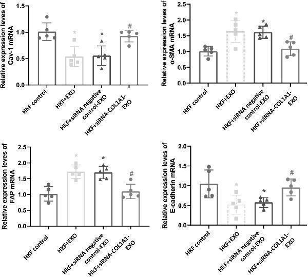 m00422 j_biol 2022 0776_fig_003