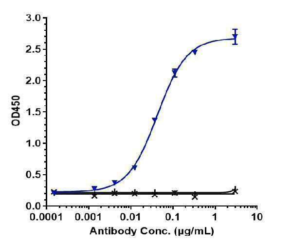 Immobilized human IL 8 His at 2 &mug/mL can bind Anti-CXCL8/IL-8 Reference Antibody (HuMax-IL8)