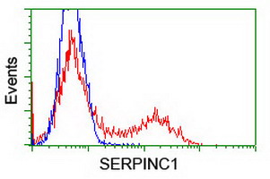 HEK293T cells transfected with either SERPINC1 (Myc-DDK-tagged) overexpress plasmid (Red) or empty vector control plasmid (Blue) were immunostained by anti-SERPINC1 antibody (M00469-1)