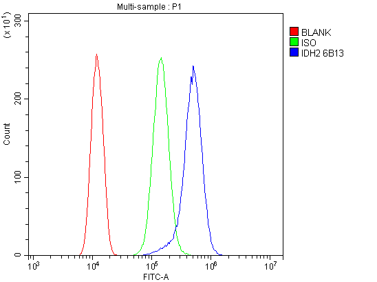 m00510 4 idh2 primary antibodies fcm testing 8